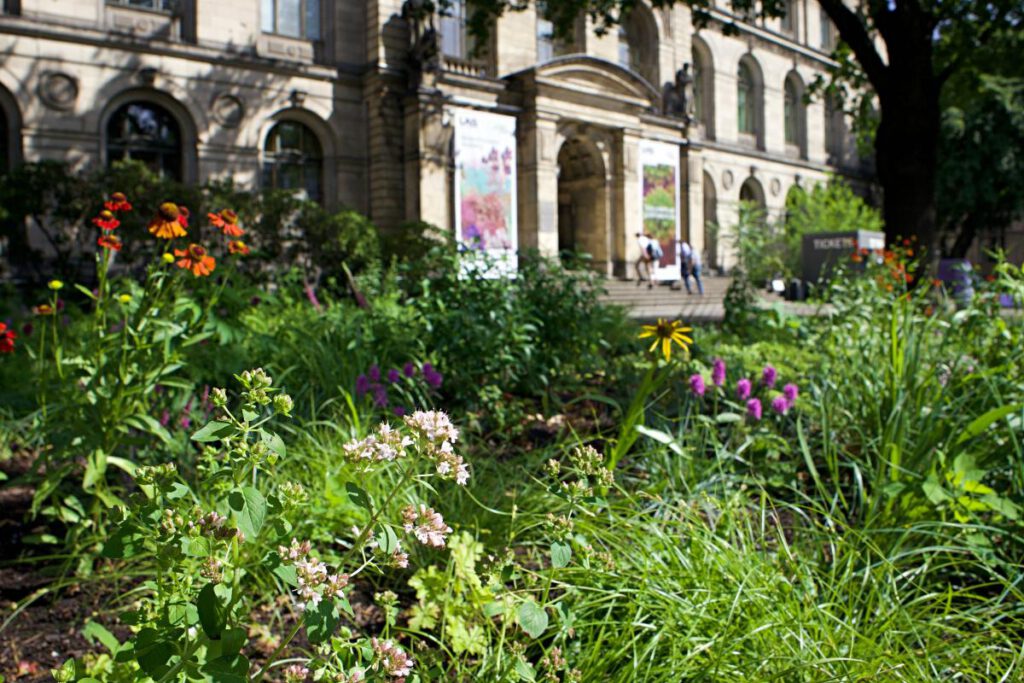 Garten vor dem Museumsgebäude