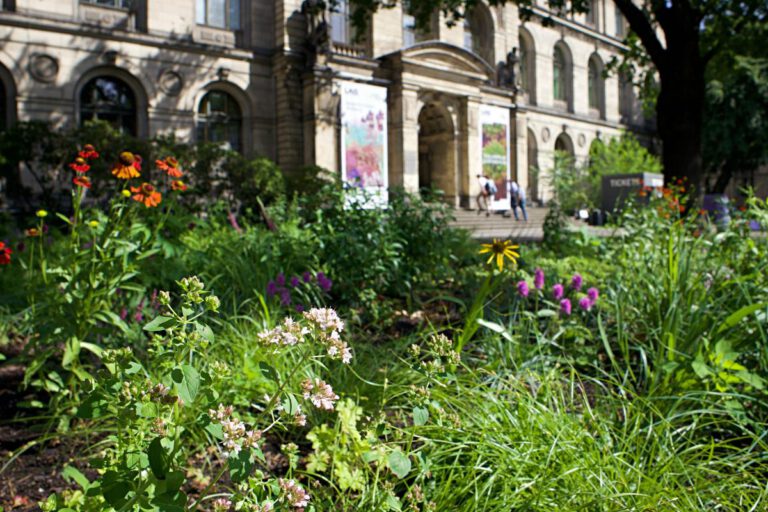 Garten vor dem Museumsgebäude